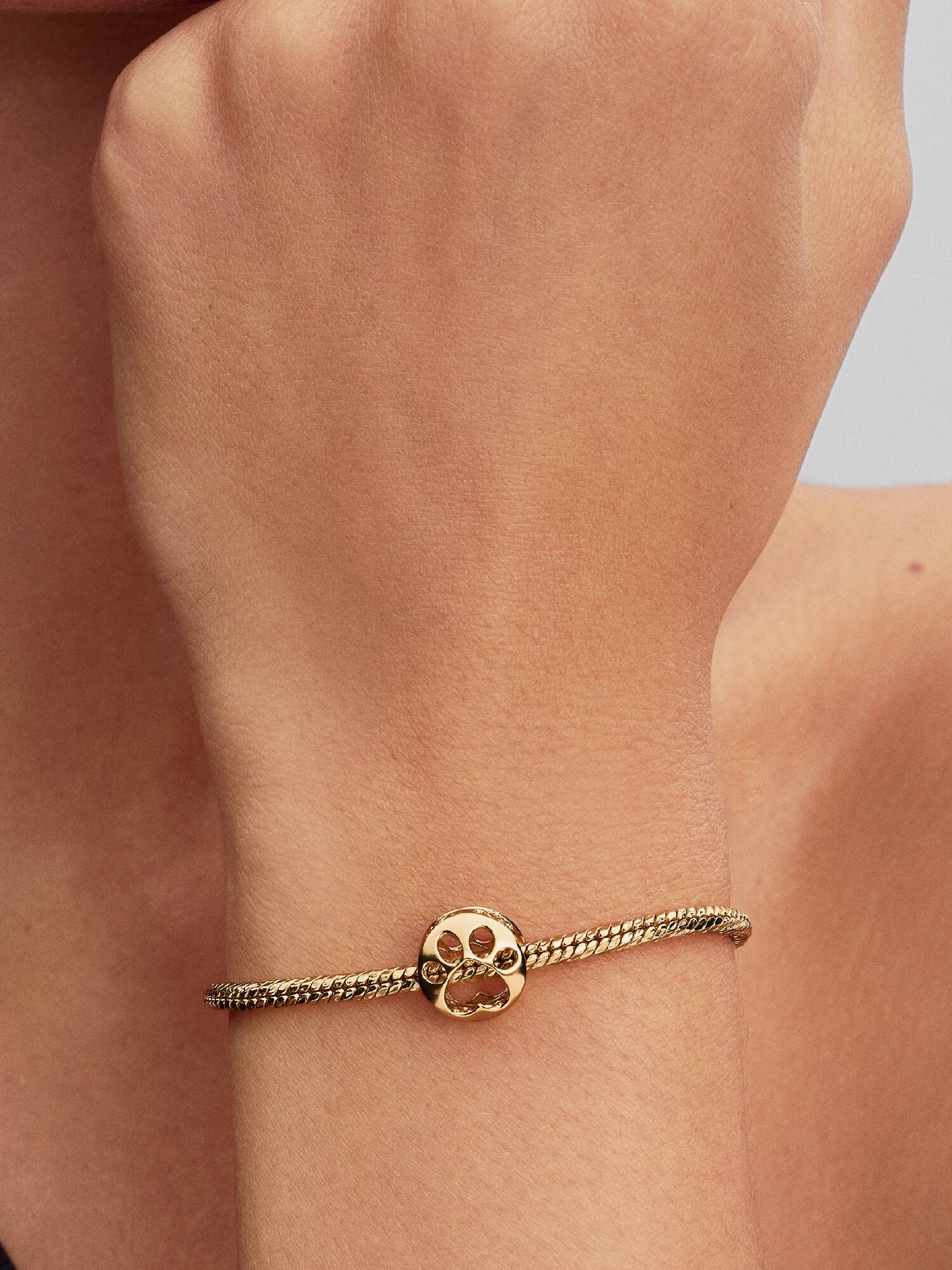 Áttört mancs charm