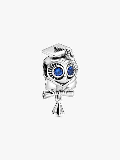Bölcs bagoly charm