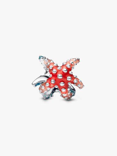 Színes tengeri csillag mini charm