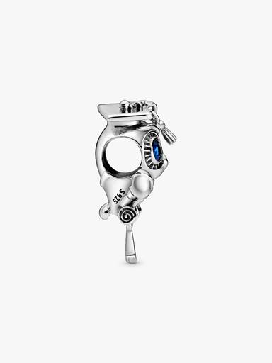 Bölcs bagoly charm
