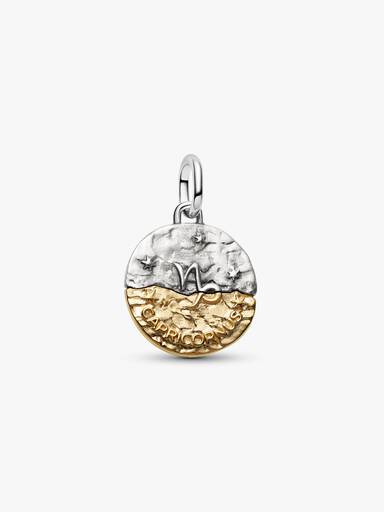 Bak csillagjegy medál charm