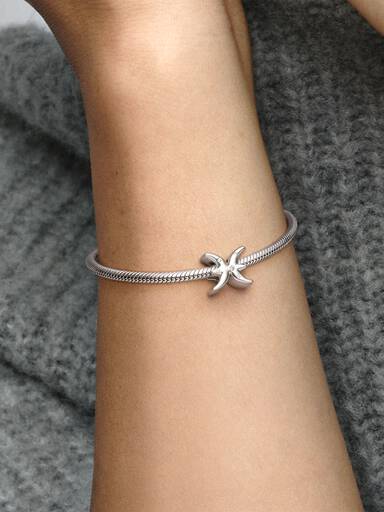 Szikrázó Halak csillagjegy charm