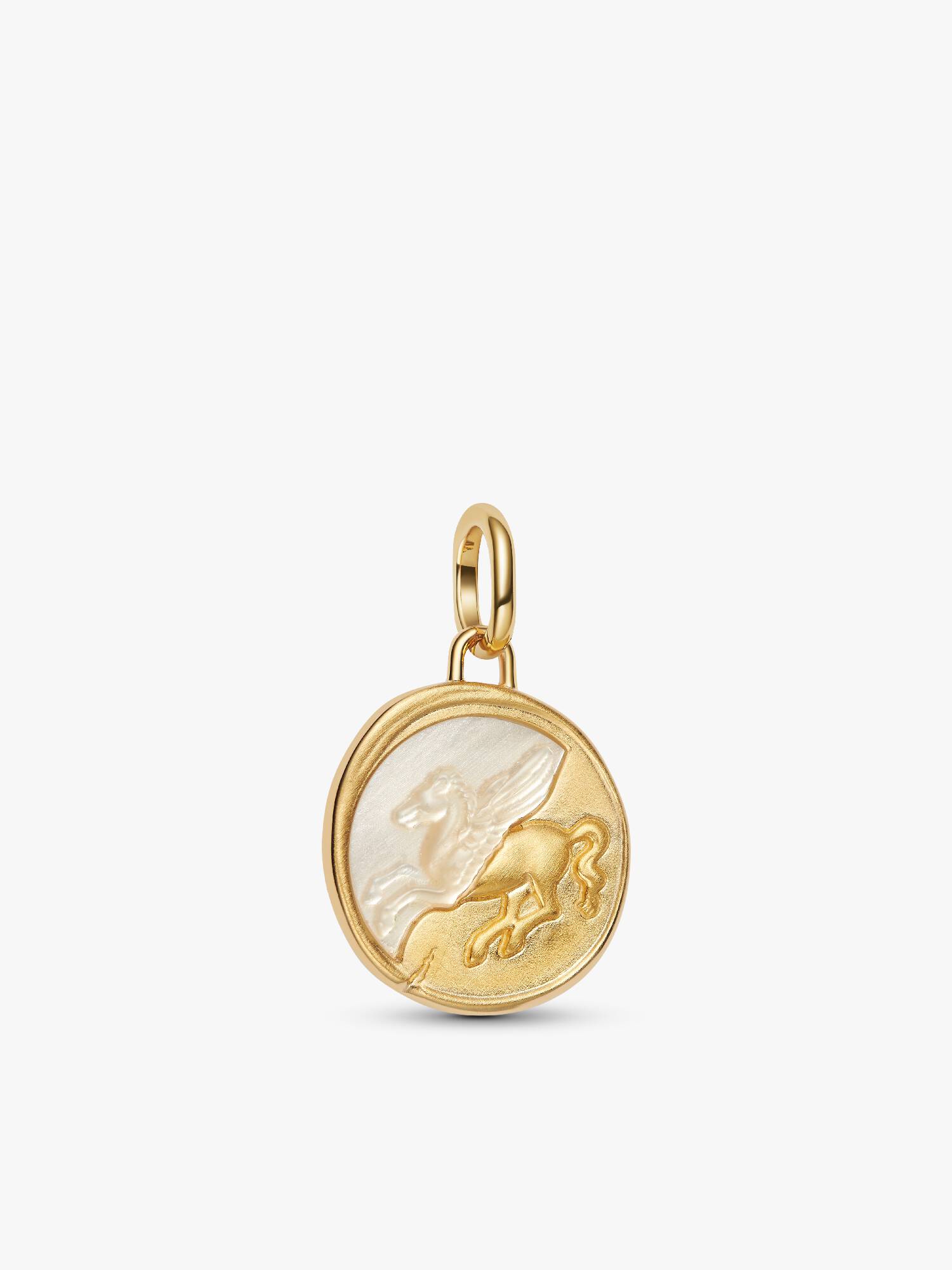 Pegazus medál charm
