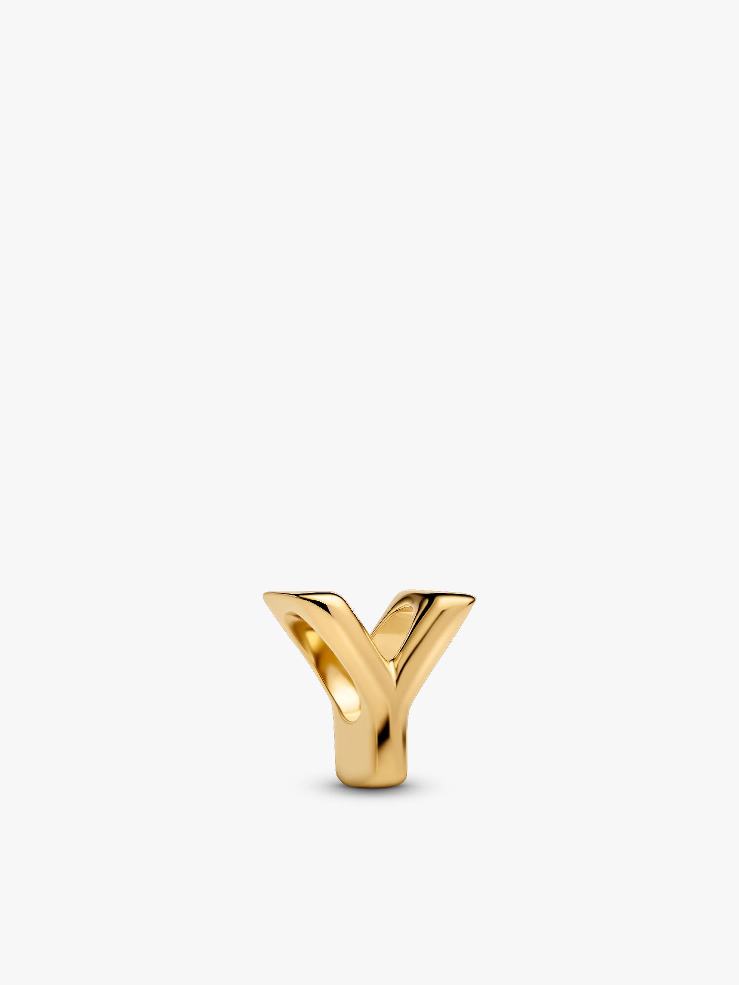 "Y" betű charm
