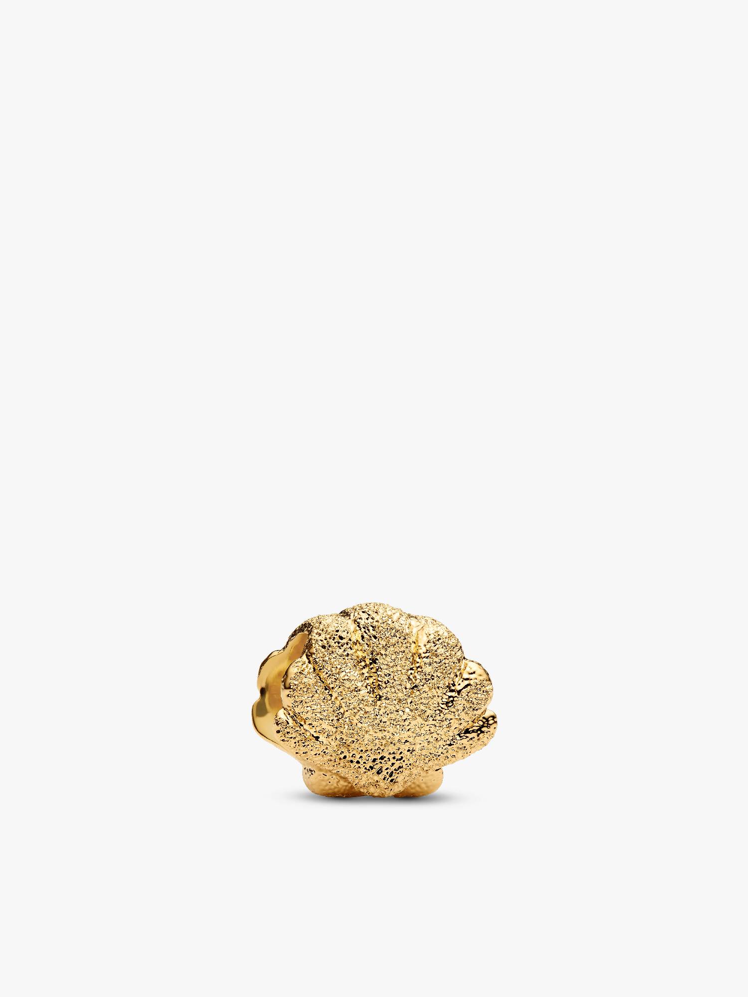 Texturált kagyló mini charm