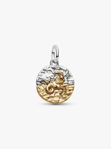 Bak csillagjegy medál charm