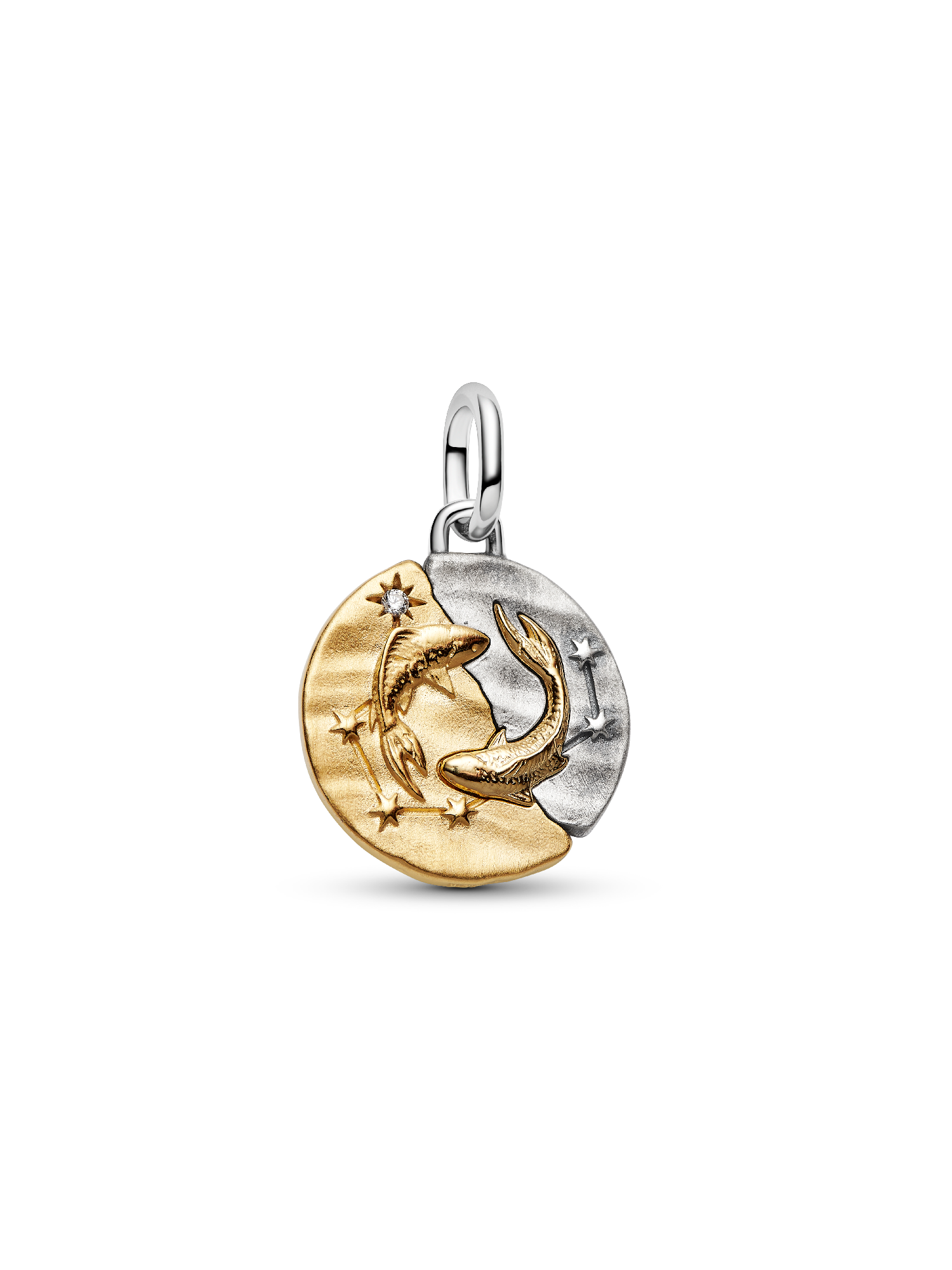 Halak csillagjegy medál charm